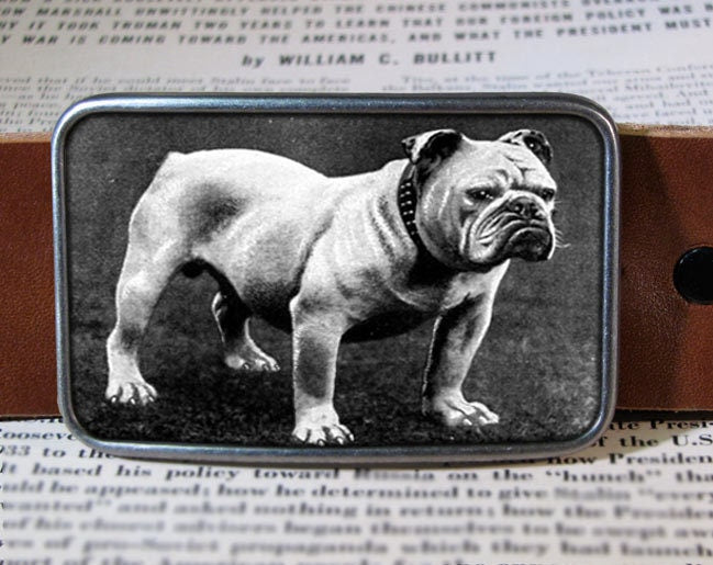 Bull Dog Belt Buckle