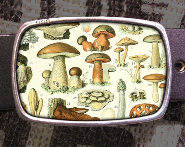 Mushroom Family Fungi Belt Buckle – Regan Flegan