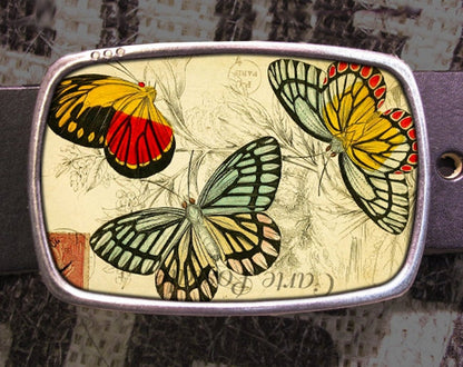 Vintage Butterfly Postcard Belt Buckle Insect Belt Buckle  Lepidopterist